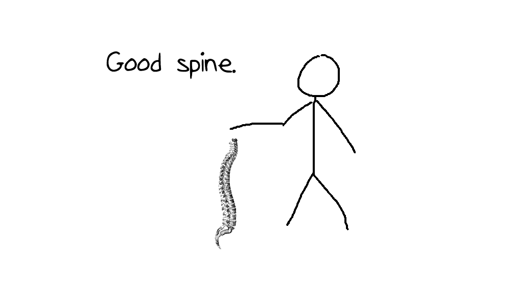 Be Nice To Your Body Favero Chiropractic North Ogden