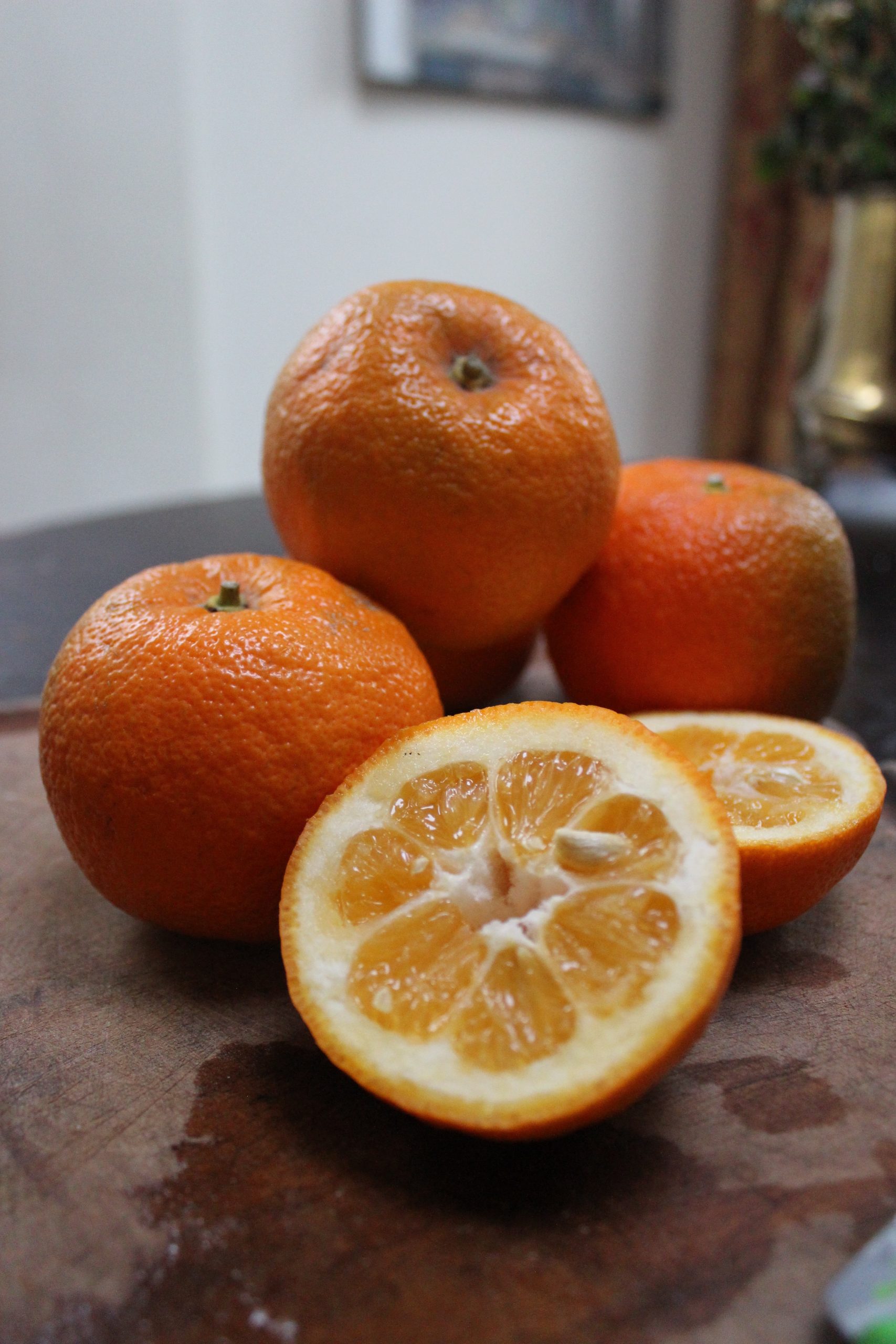 Seville oranges Faversham Life