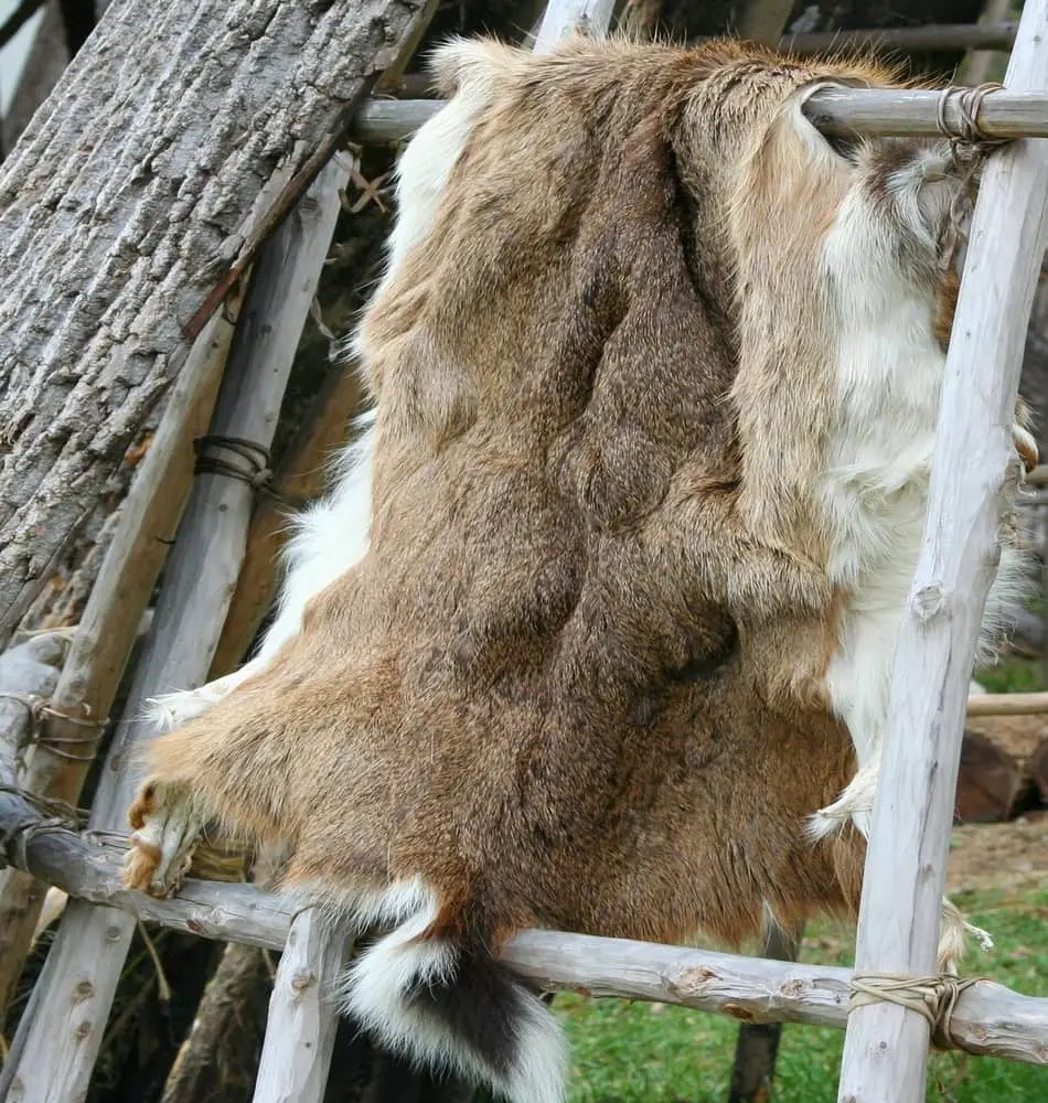 What’s the Difference Between Leather and Pelt? FavoredLeather