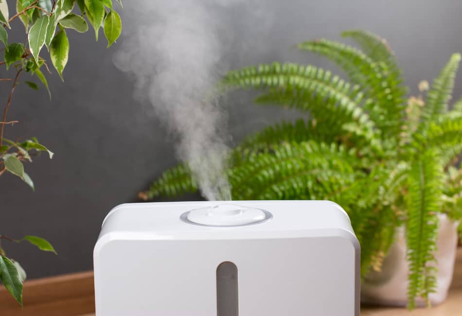 5 Unpleasant Ways Humidity Affects Leather (Plus Fix & Tips