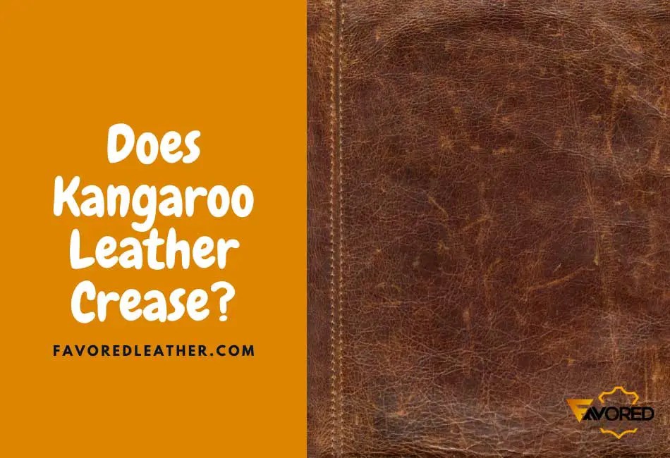 Does Kangaroo Leather Crease? (Yes! Here’s Why & Easy Fix) FavoredLeather