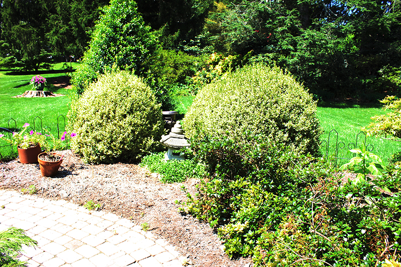 Schnatz & Rohrer Landscaping West Chester, PA Contractor Review site