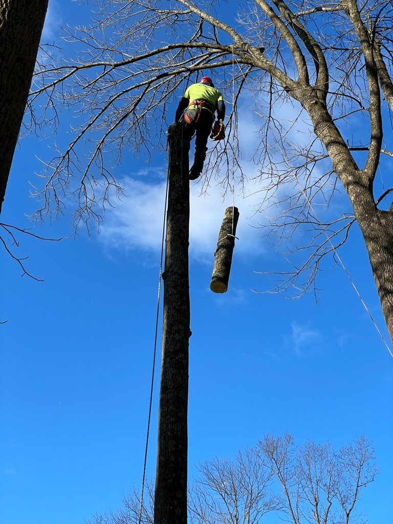 Kellerman's Landscaping Services Reviews Exton, PA Contractor