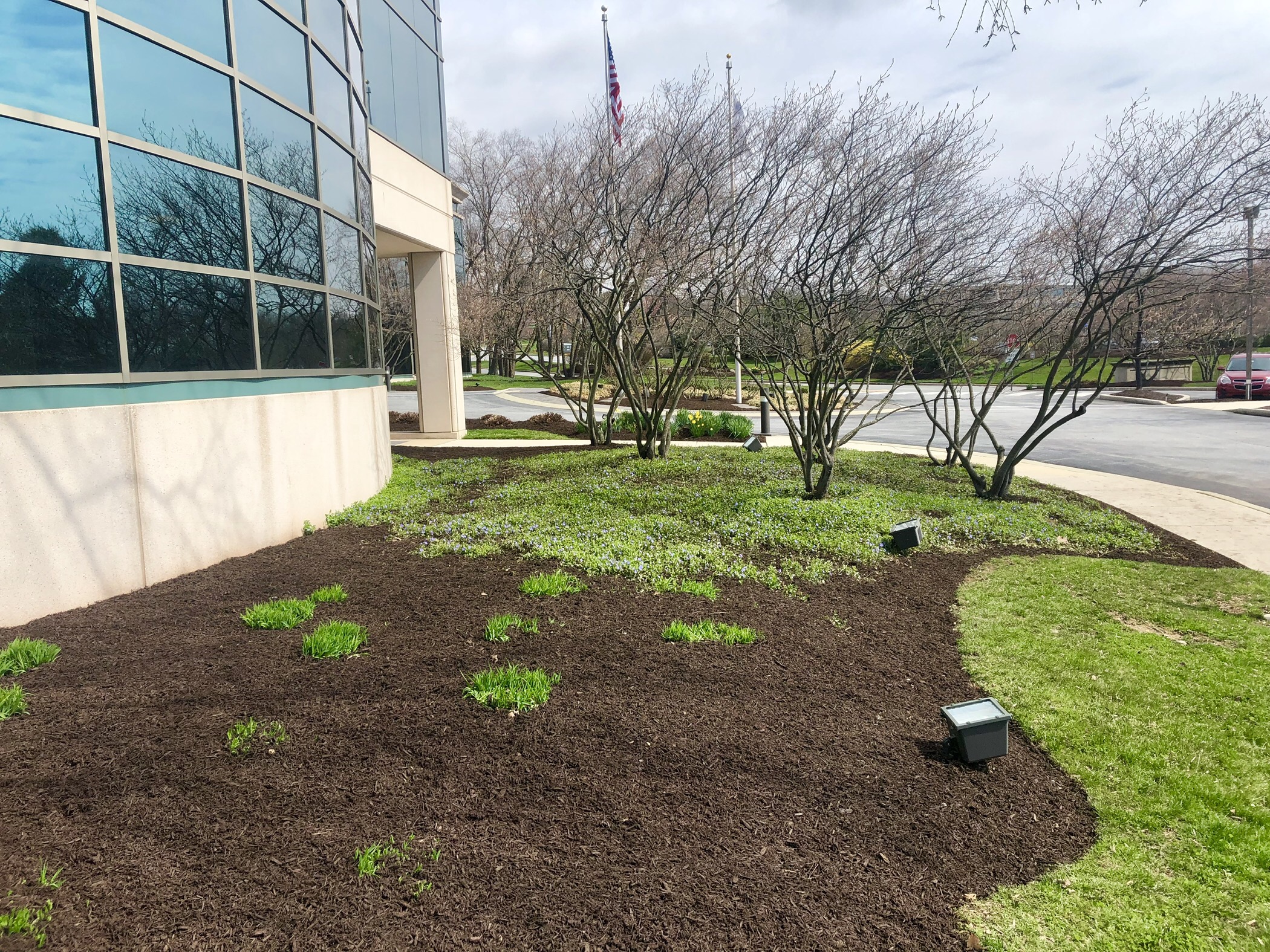 Kellerman's Landscaping Services Reviews Exton, PA Contractor