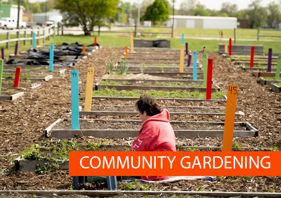 FayetteSpalding Cooperative