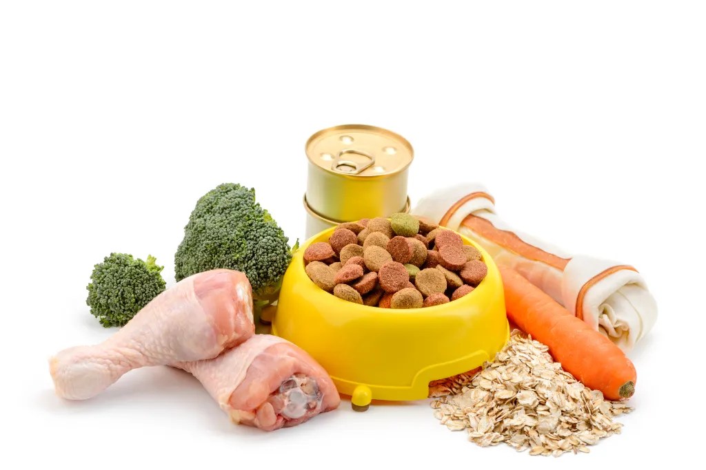 How to Calculate the Protein in Your Dog Food » Fayie Pet World
