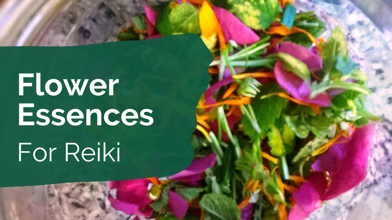 Flower Essences for Reiki Practitioners Plant Spirit Healing Scotland