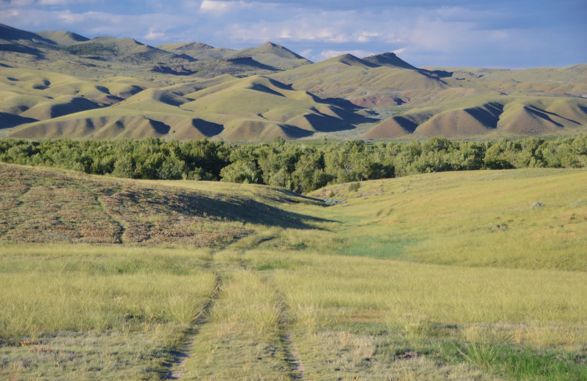 Big Hole Vistas Ranch Montana Fay Ranches