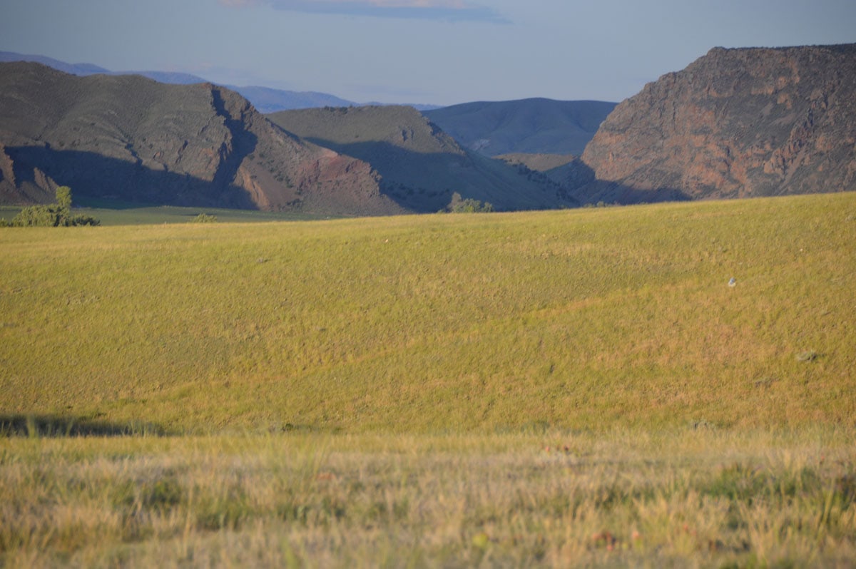Big Hole Vistas Ranch Montana Fay Ranches