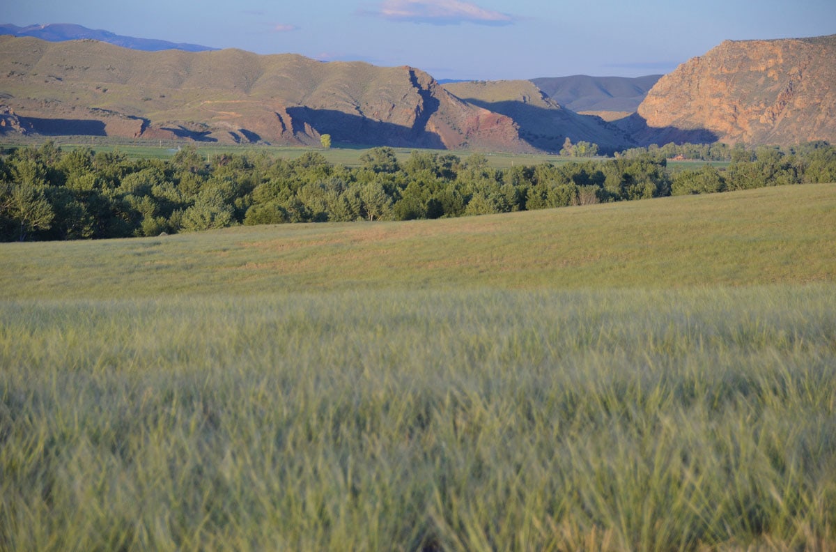 Big Hole Vistas Ranch Montana Fay Ranches