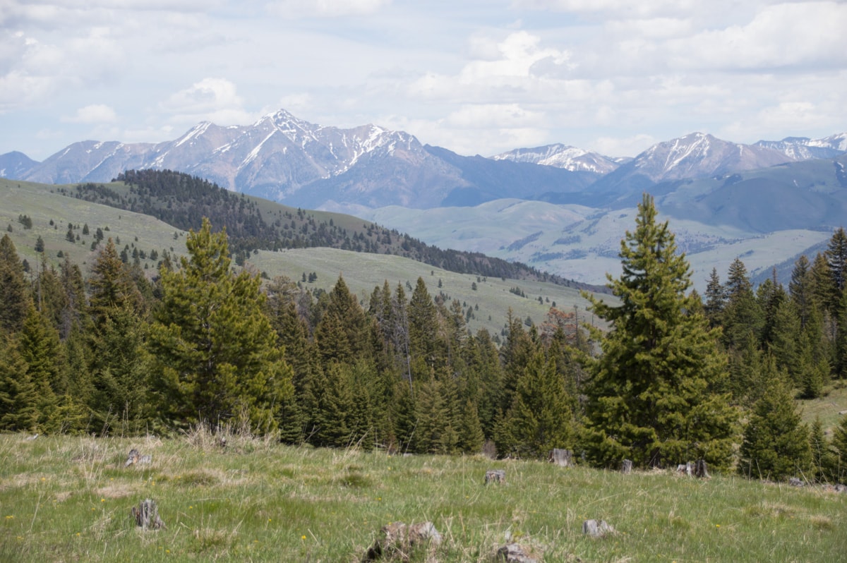 Rock Creek Ranch Montana Fay Ranches