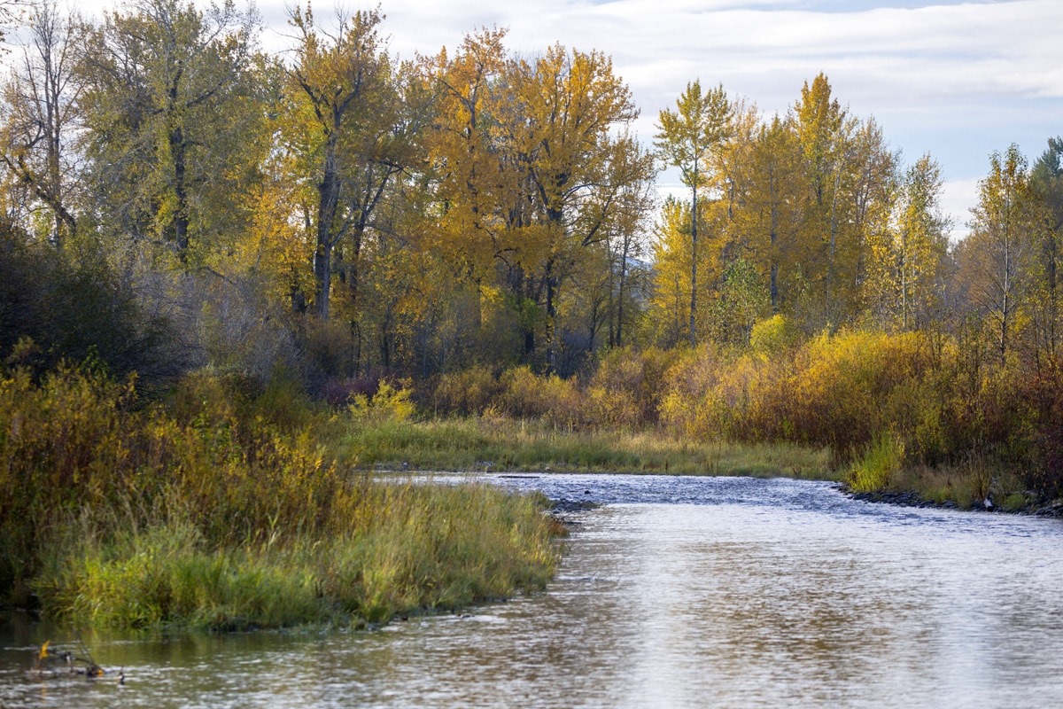 West Gallatin River House Montana Fay Ranches