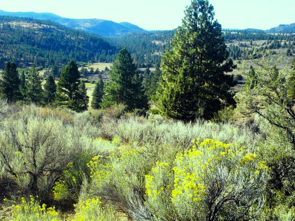 Burnt River Ranch Oregon Fay Ranches