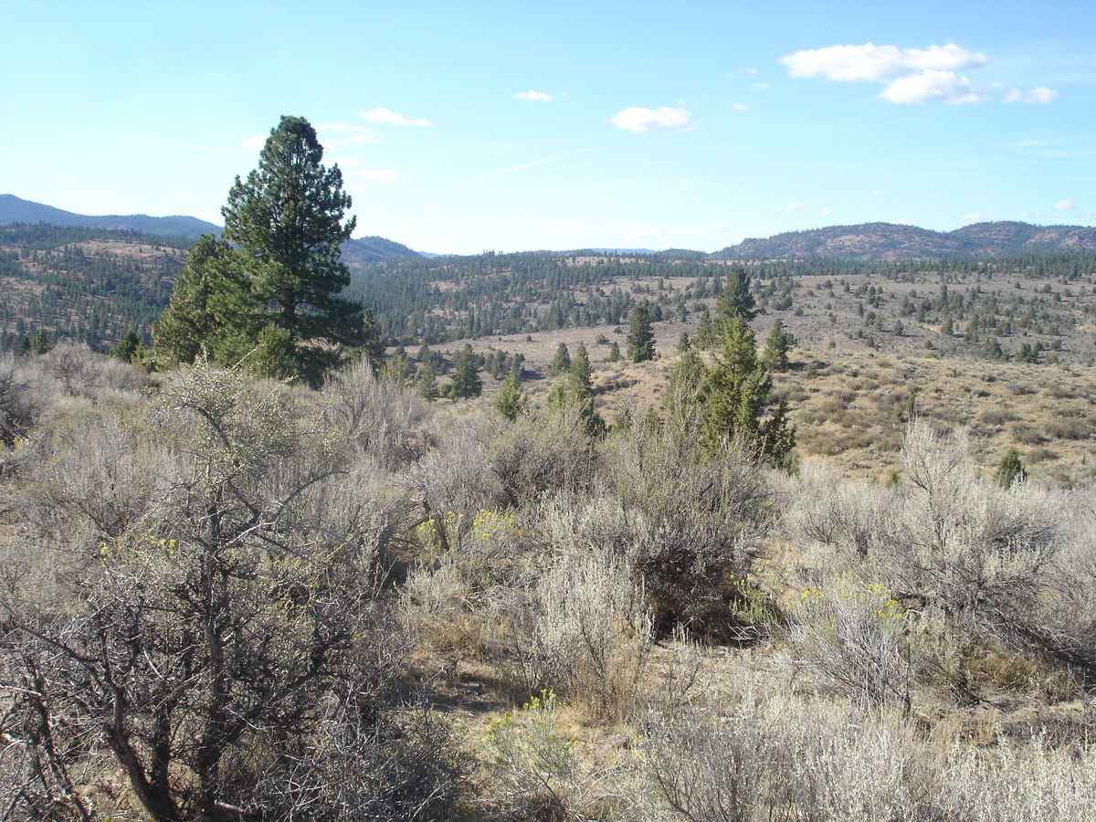 Burnt River Ranch Oregon Fay Ranches