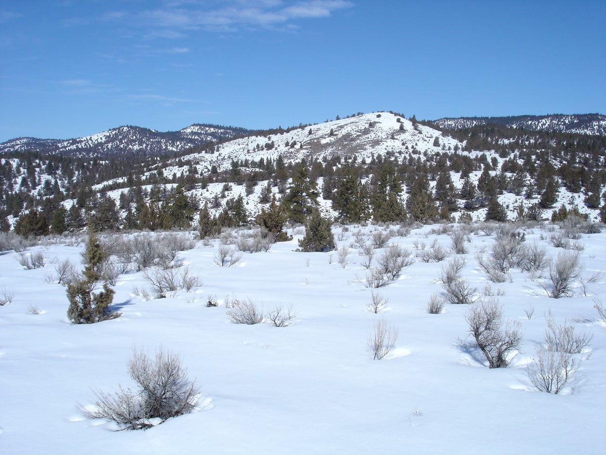 Burnt River Ranch Oregon Fay Ranches