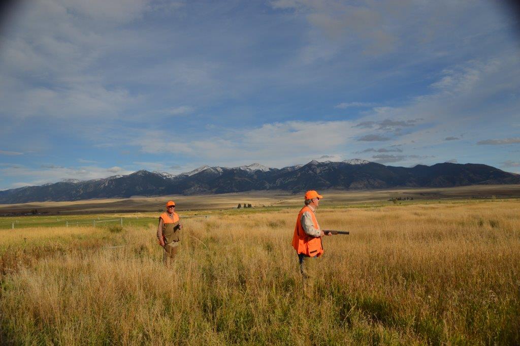 Pheasant Hunting at Highland View Ranch Fay Ranches