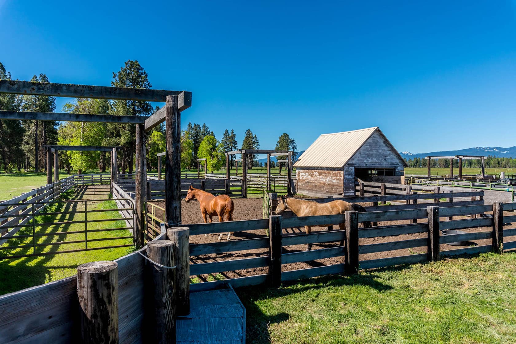 Double K Ranch, Oregon Fay Ranches