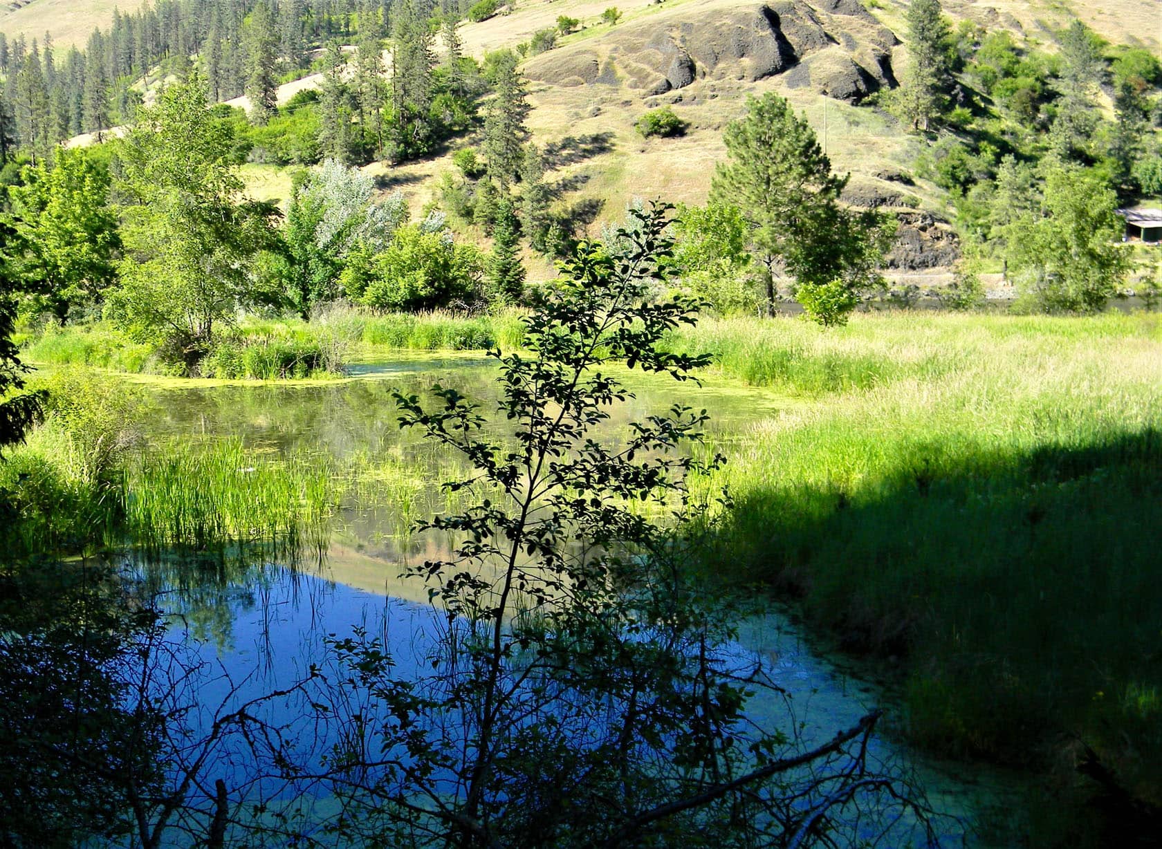 Clearwater River Place Kooskia Idaho Fay Ranches