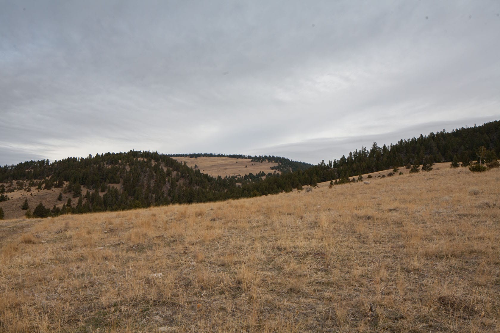 Garrison Mountain Ranch Fay Ranches