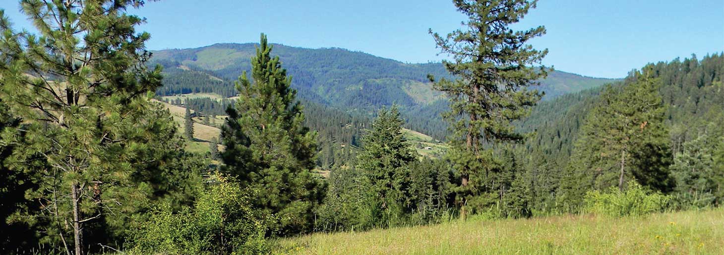 Idaho Ranches For Sale Fay Ranches