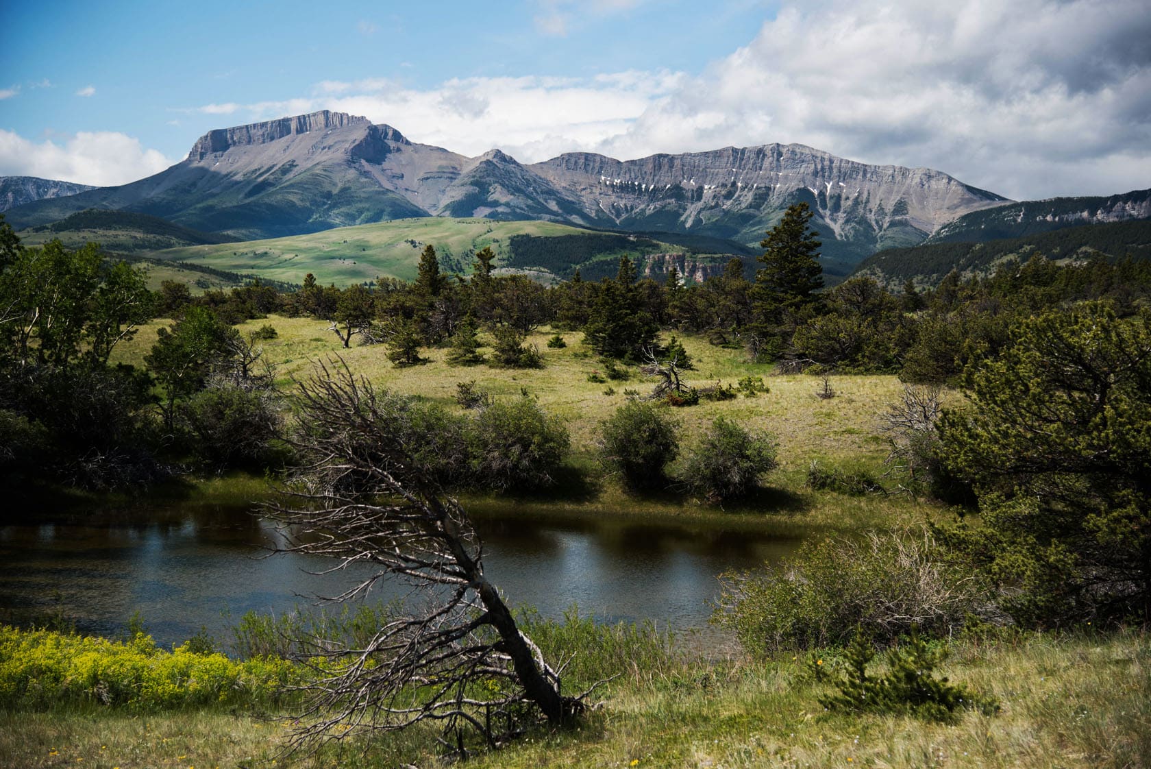 Deep Canyon Ranch Choteau Montana Fay Ranches
