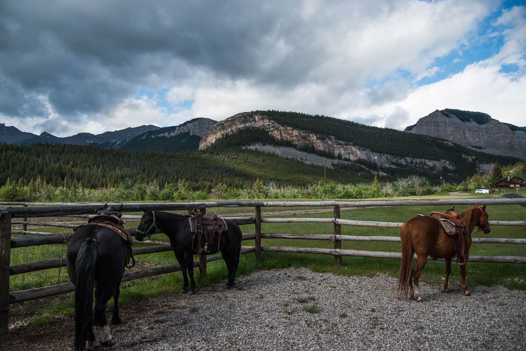Deep Canyon Ranch Choteau Montana Fay Ranches