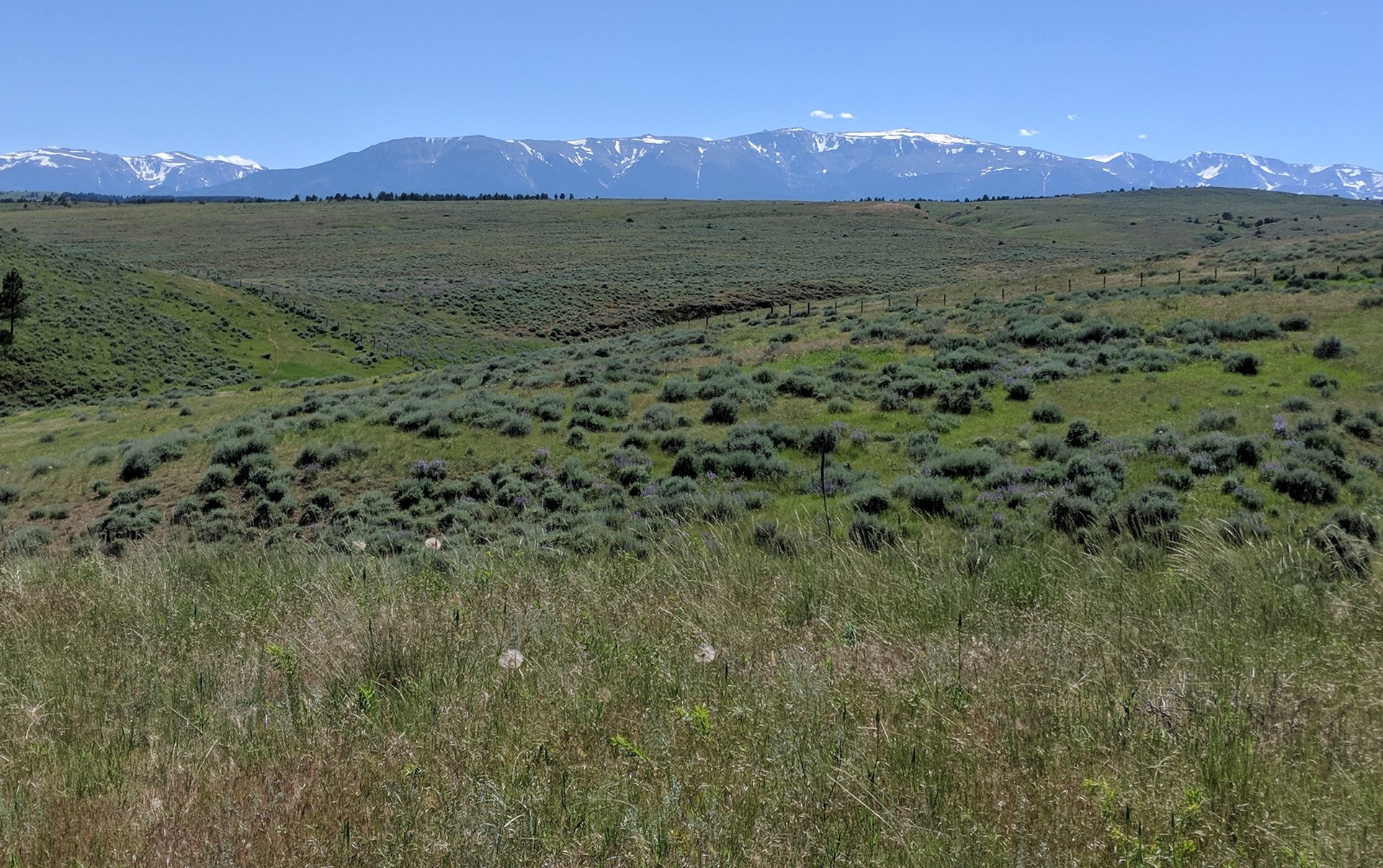 Fishtail Montana Real Estate