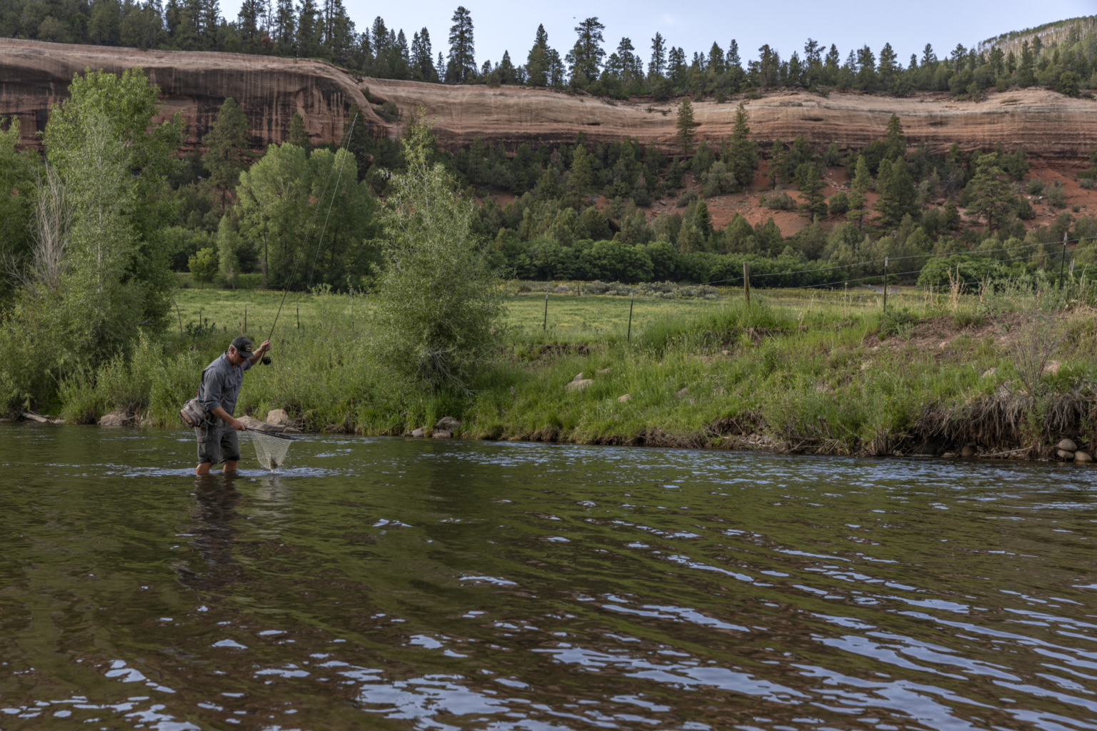 Dolores River Ranch Republic Ranches Colorado Fay Ranches