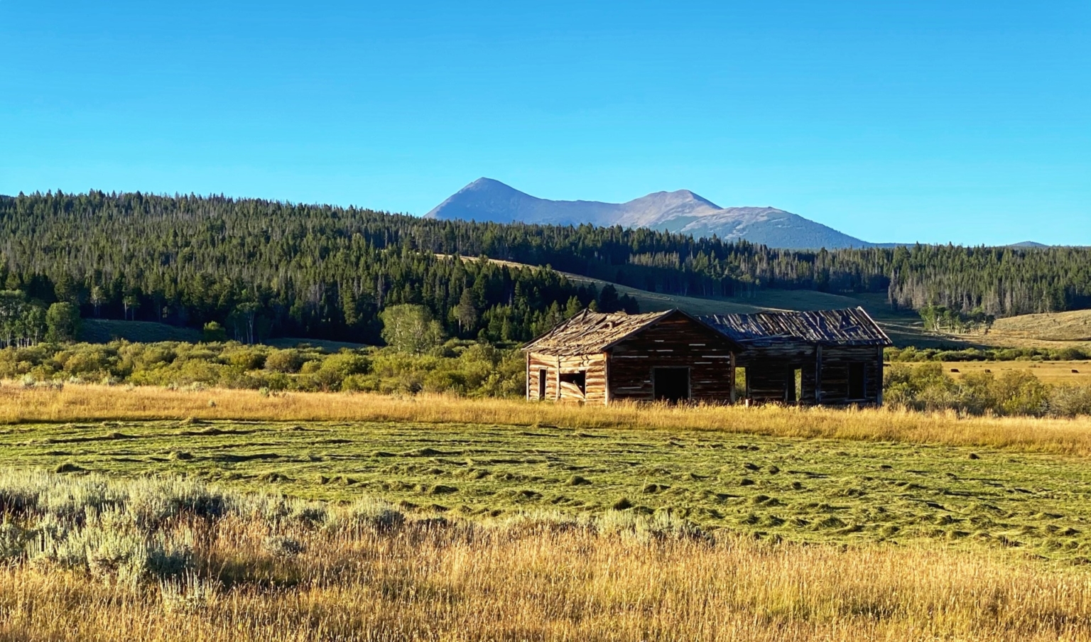 Arrow Ranch Large Big Hole Valley Ranch Fay Ranches