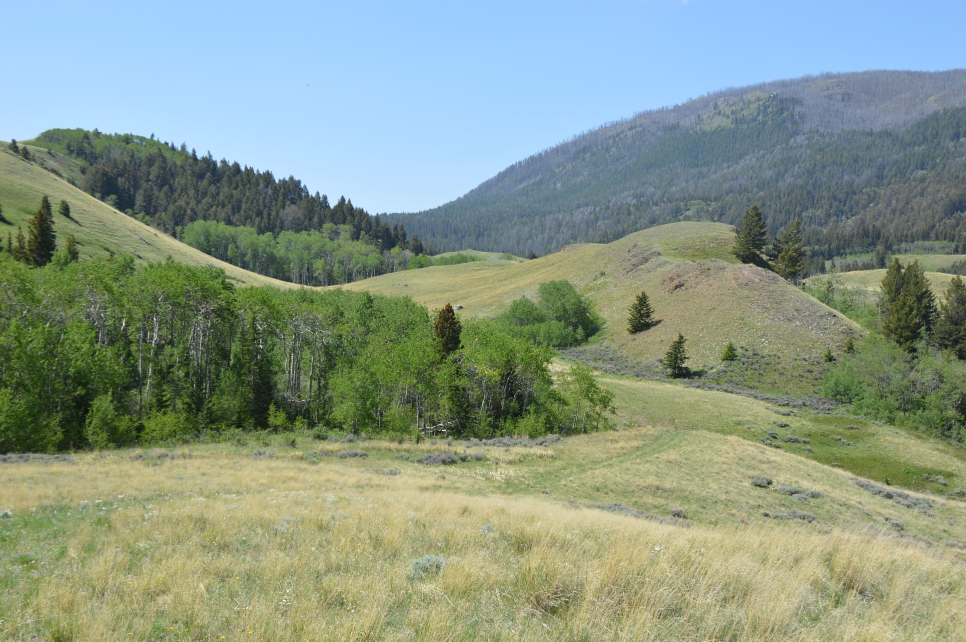 Large Montana Ranch For Sale Dome Mountain Ranch Fay Ranches