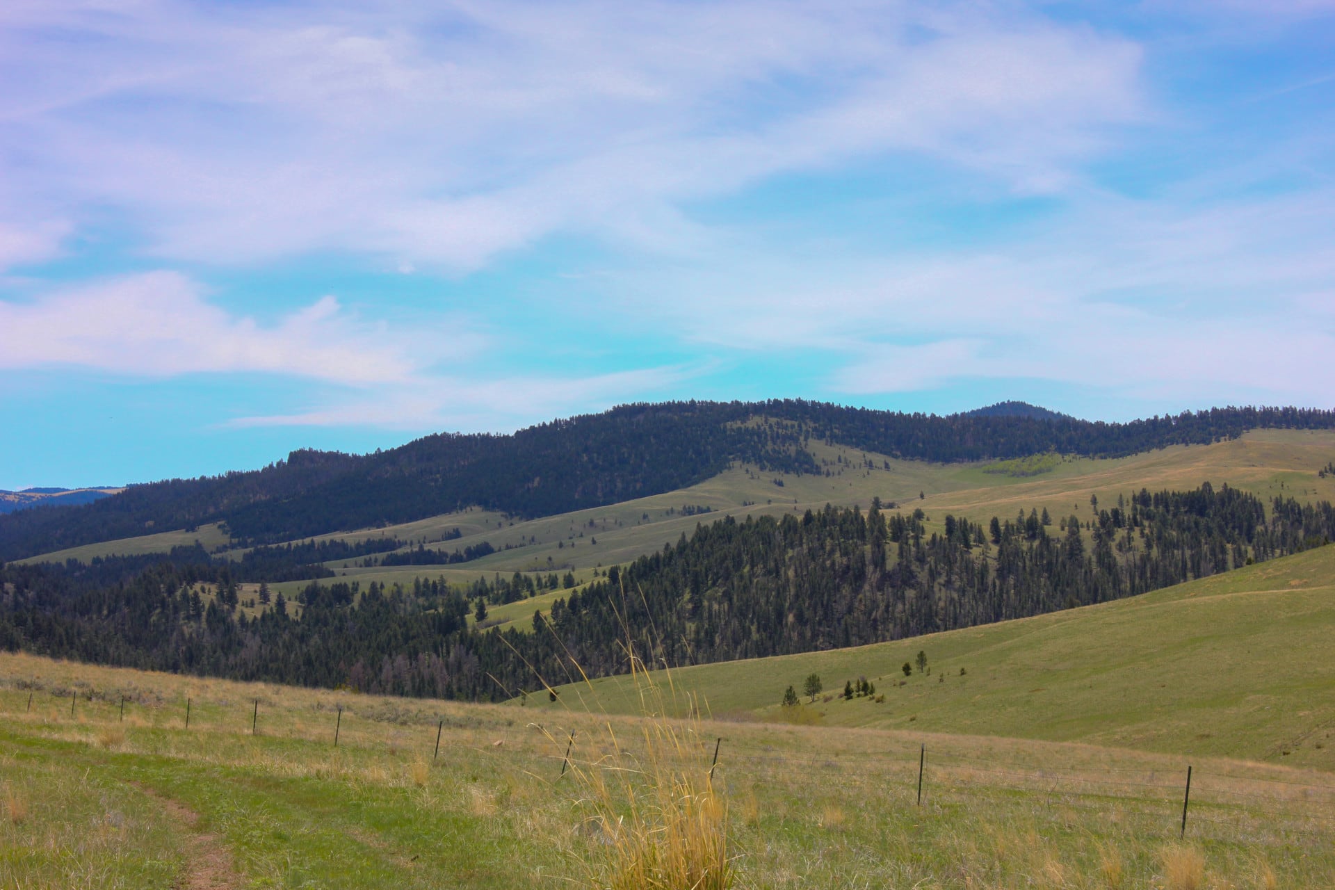 Timber Montana Little Belt Elk Ranch Fay Ranches