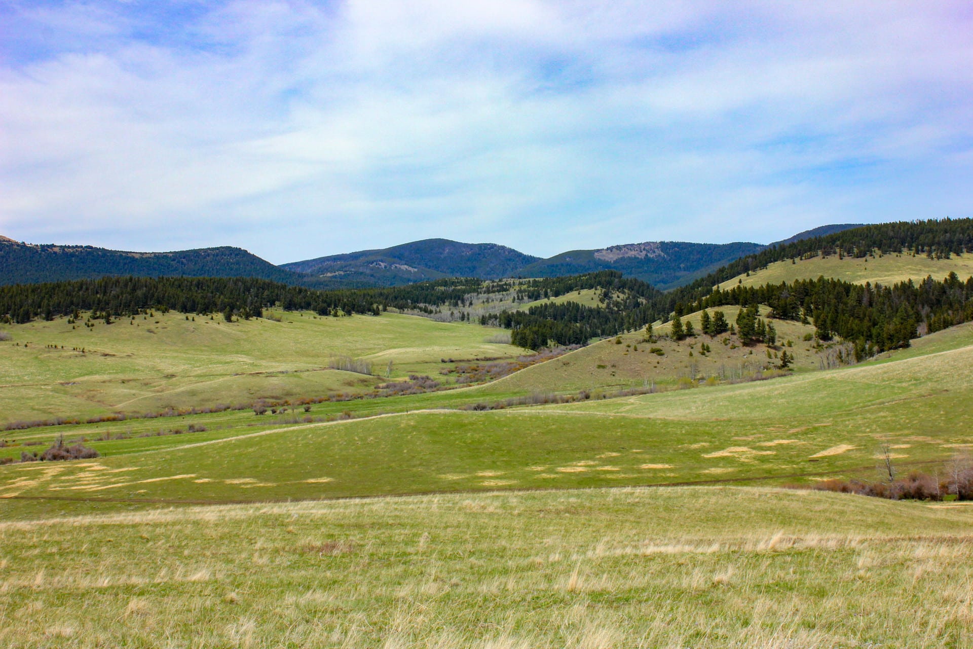 Timbered Ridges Montana Little Belt Elk Ranch Fay Ranches