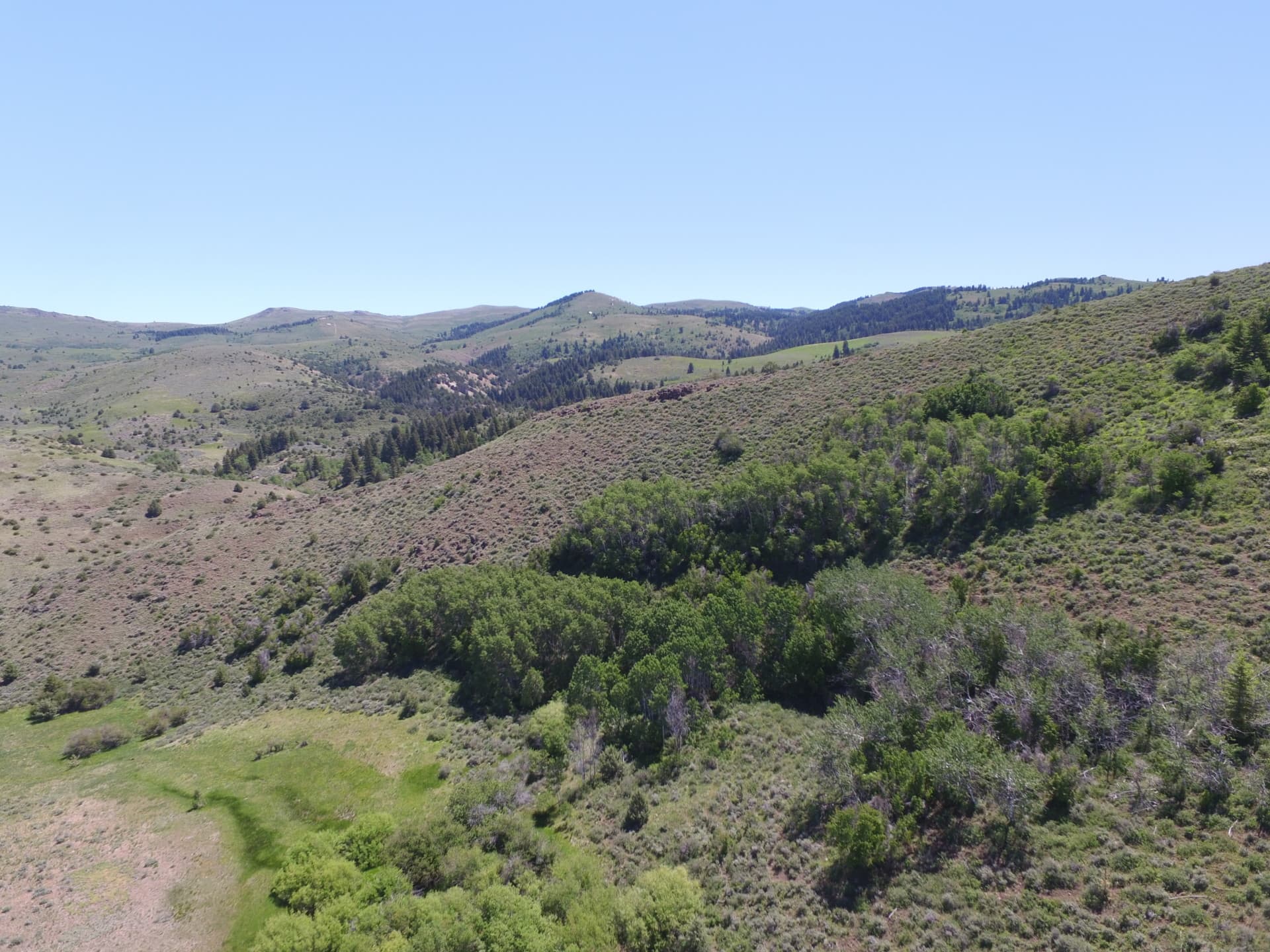 Cow Creek Ranch Idaho Cattle Ranch Fay Ranches