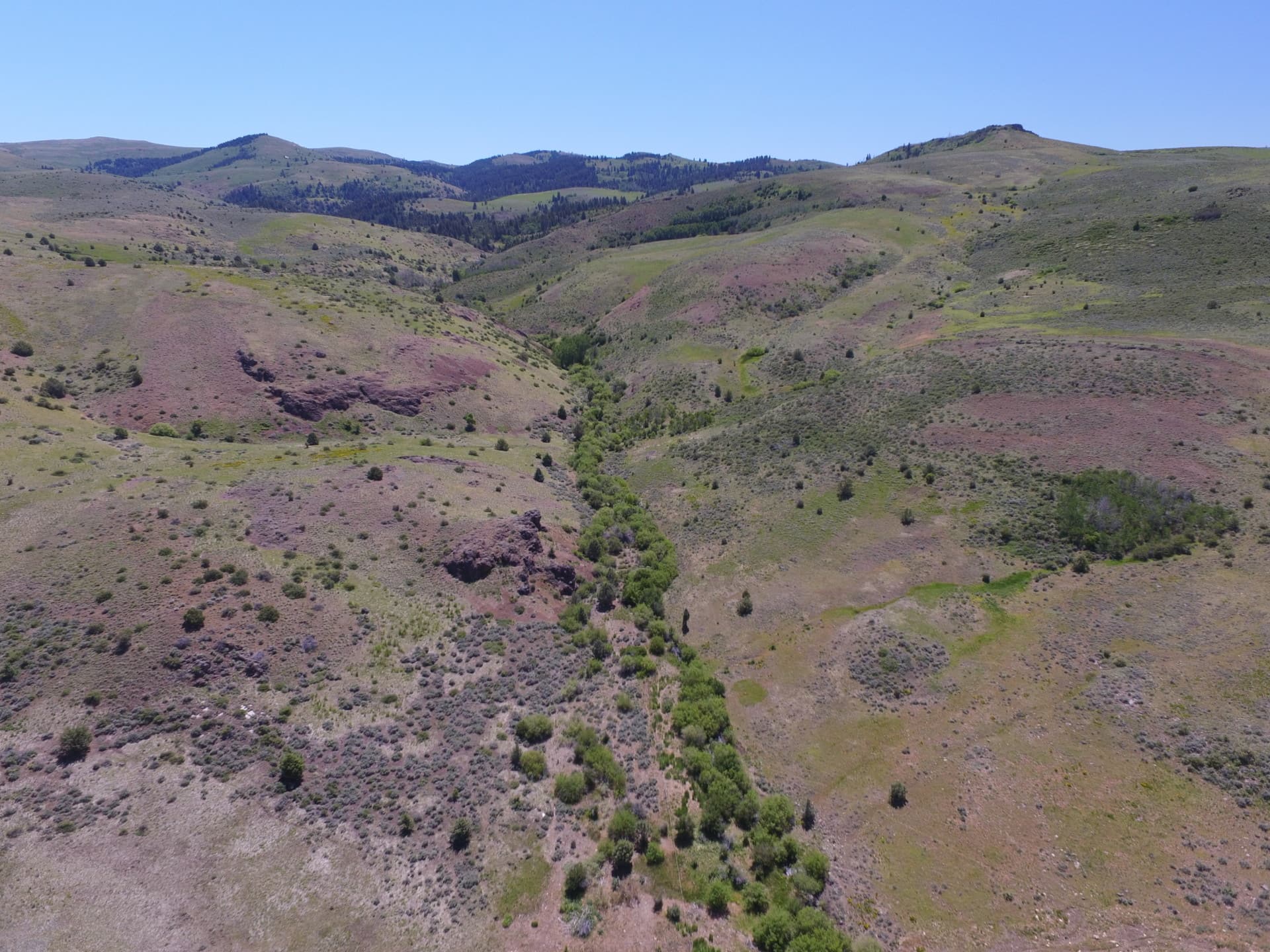 Cow Creek Ranch Idaho Cattle Ranch Fay Ranches