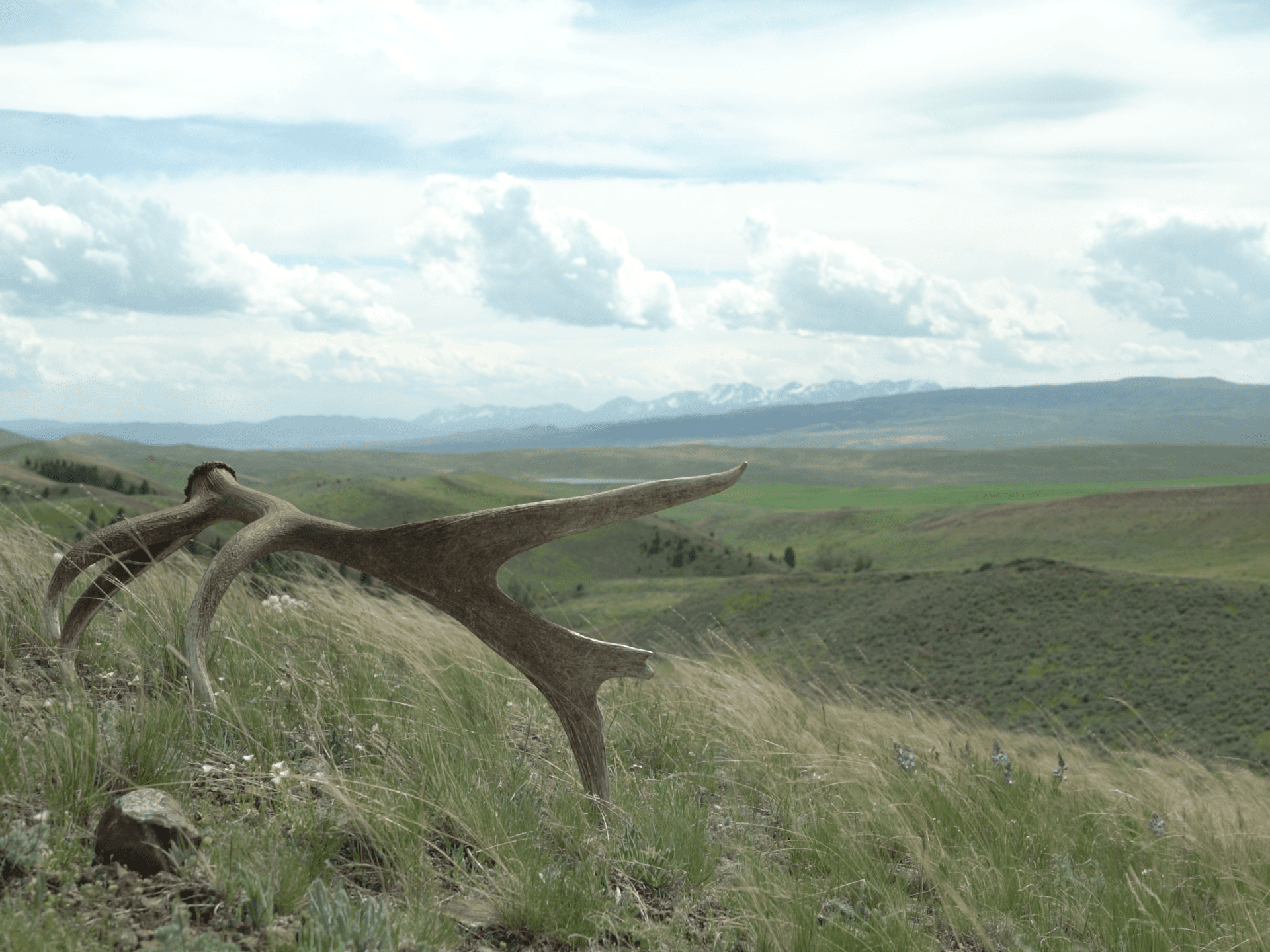 Legendary Lucas Ranch Sale Vinny Delgado Fay Ranches