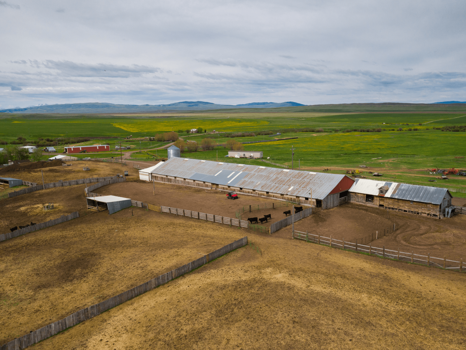 Legendary Lucas Ranch Sale Vinny Delgado Fay Ranches