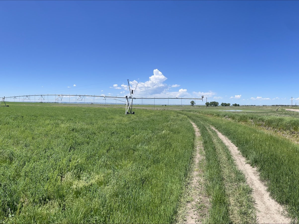 Yoder Irrigated Farm Yoder Wyoming Fay Ranches