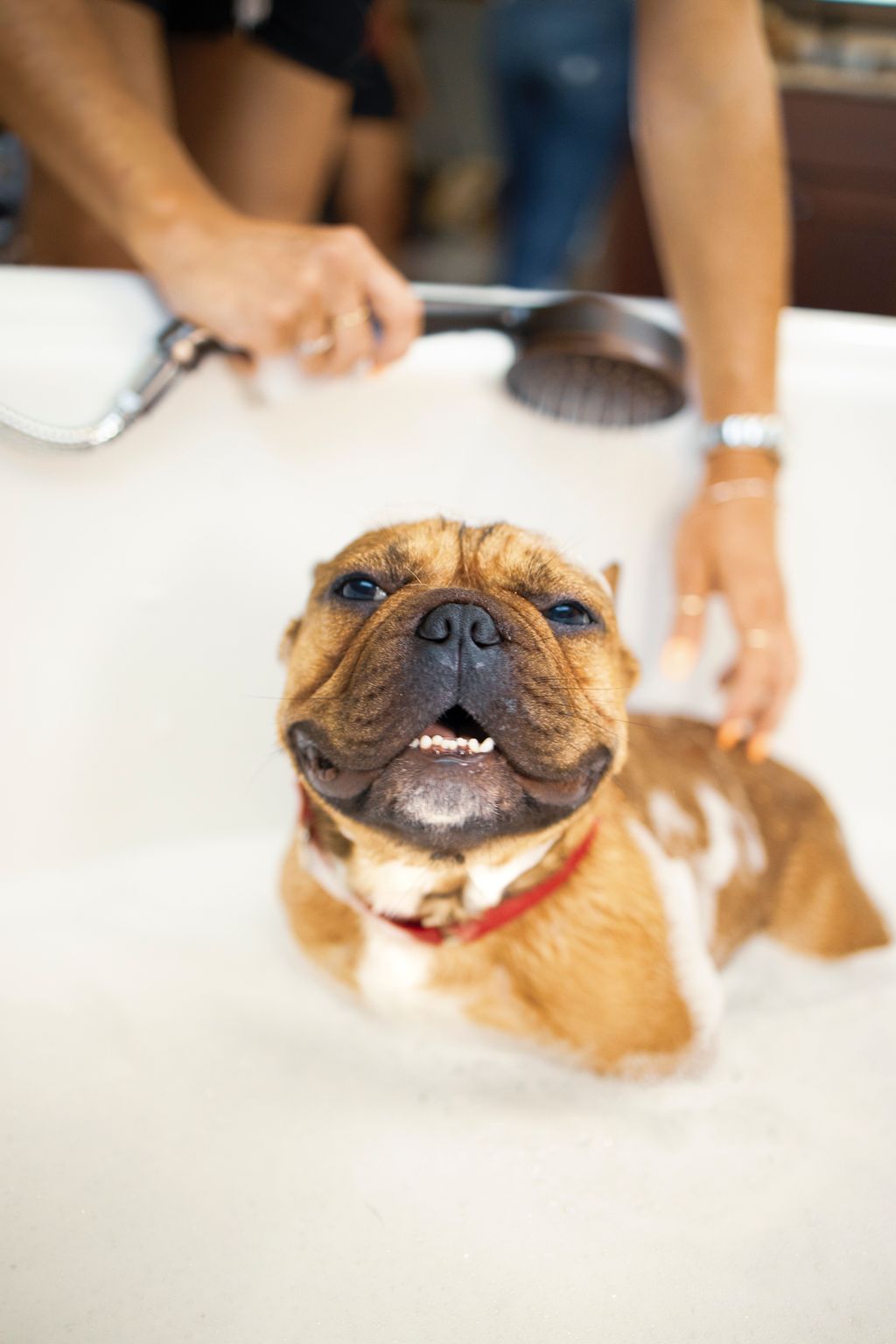 Fighting Fungal Infections How to Choose Best Antibacterial and