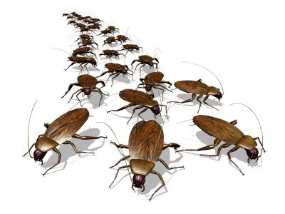 げっ歯類の破壊を目的とした対策の複合体が呼ばれます げっ歯類の無傷化 処分