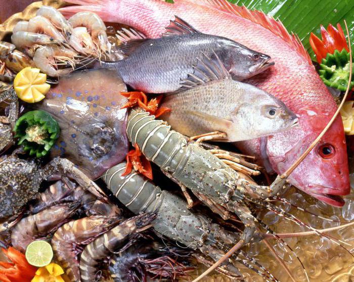 Фото 17: Что полезно кушать из морепродуктов. Морские…
