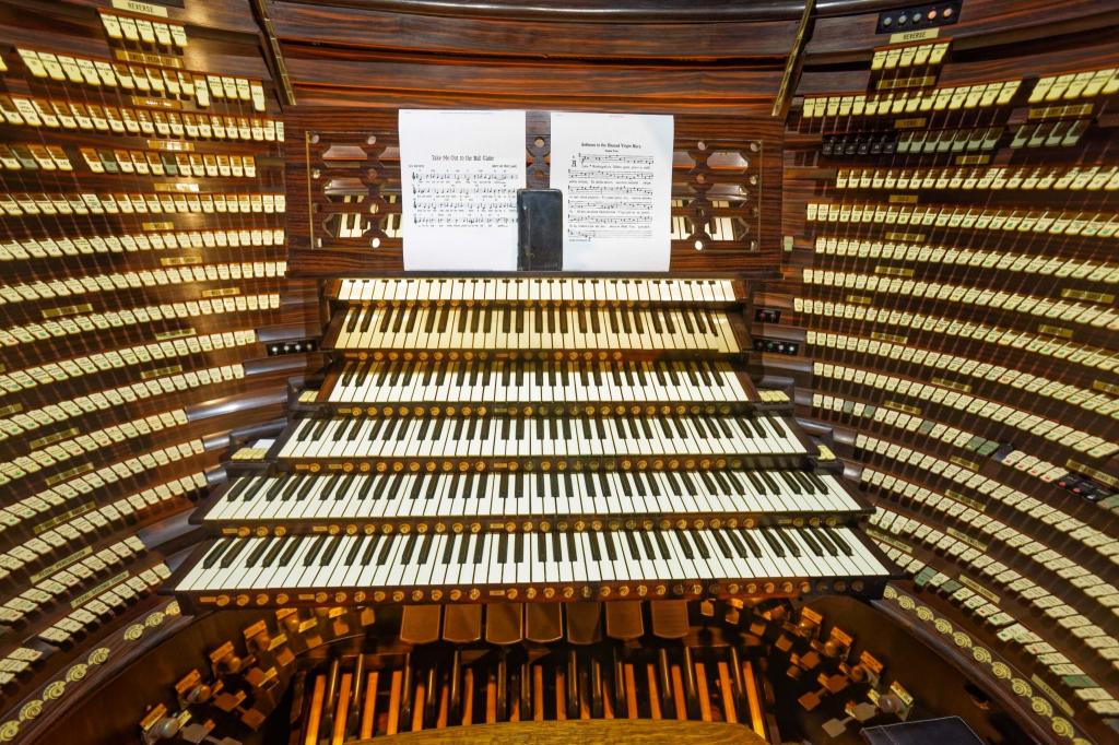 Клавишный духовой музыкальный инструмент орган устройство и описание