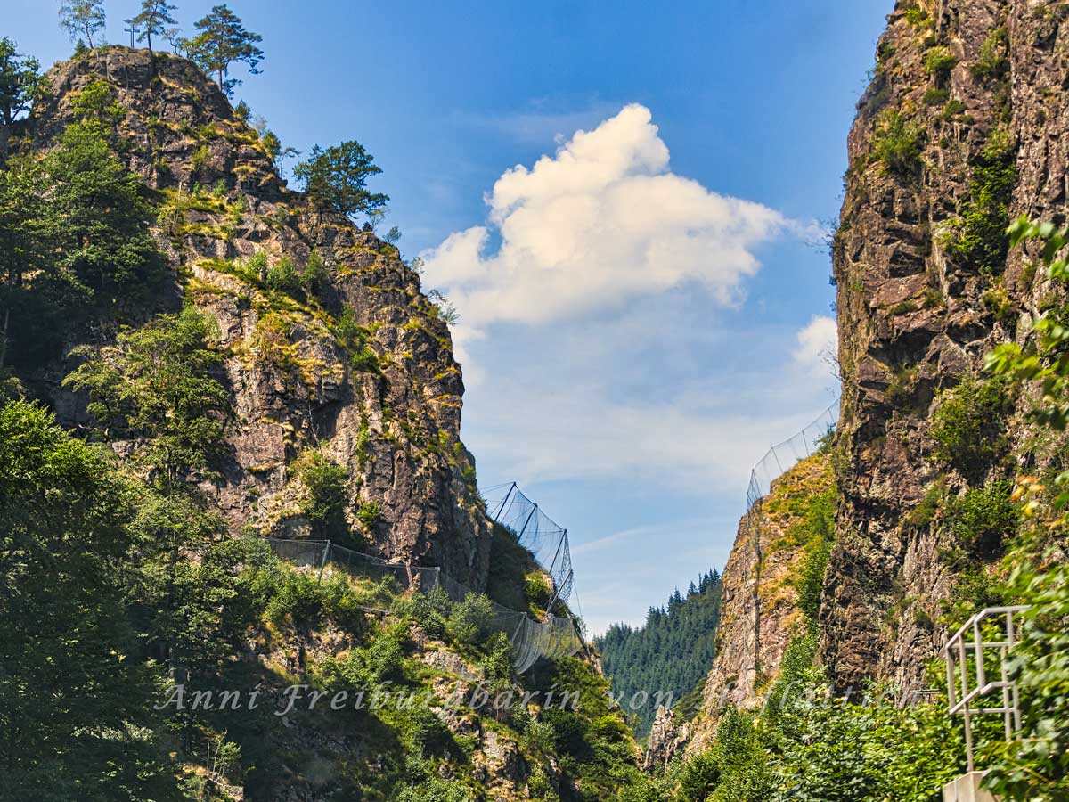 Höllental Archive Anni Freiburgbärin von HuflattichAnni Freiburgbärin