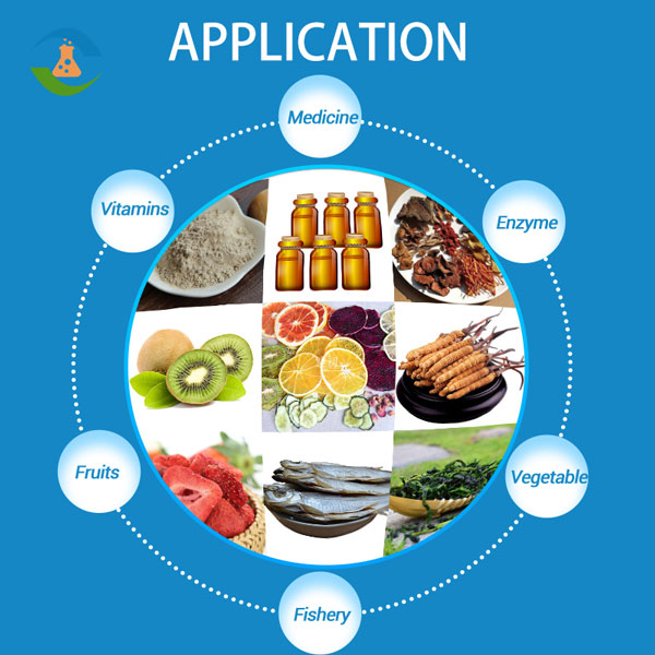 Commercial Food Freeze Dryer FBL