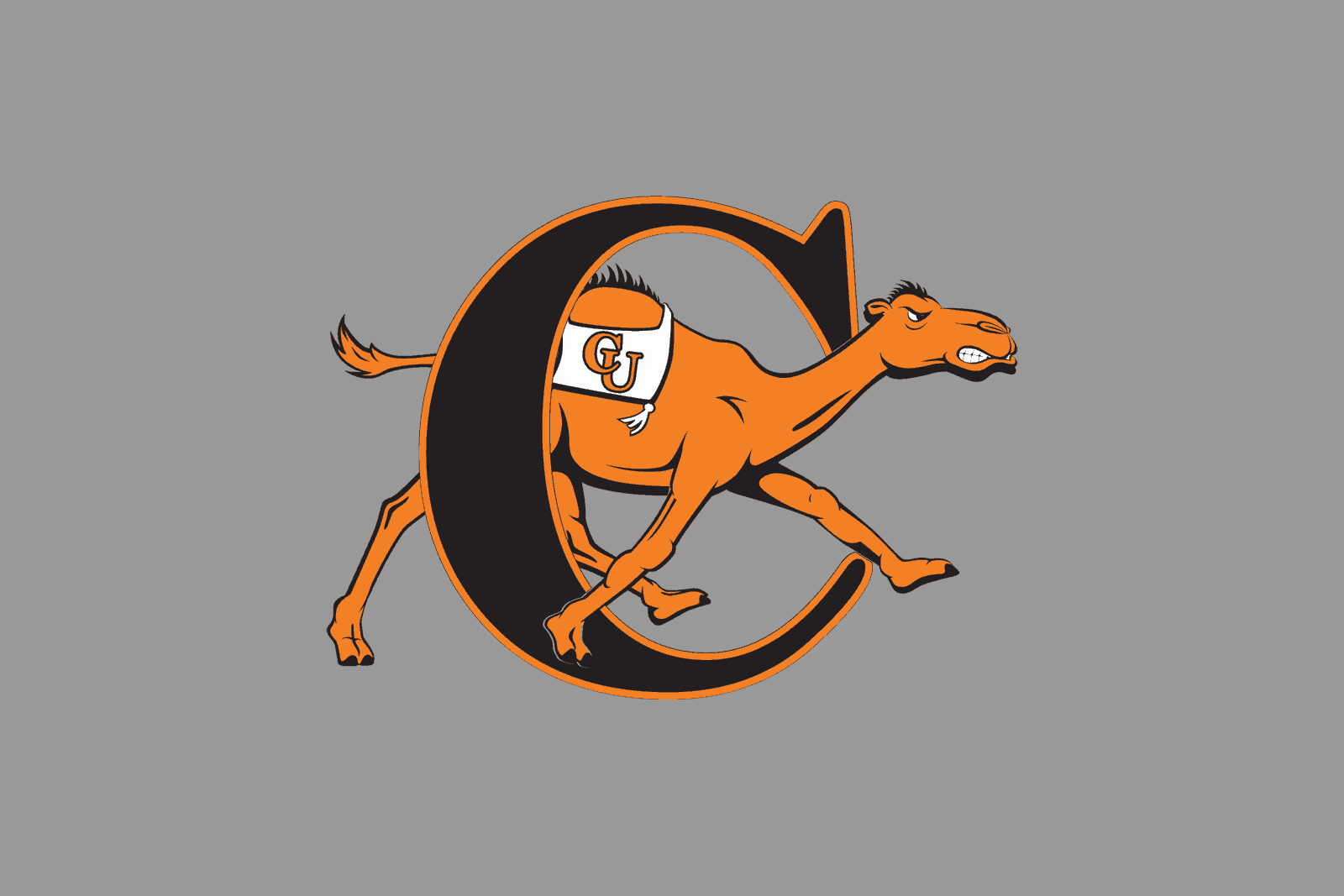 Campbell adds North Carolina and The Citadel to future schedules