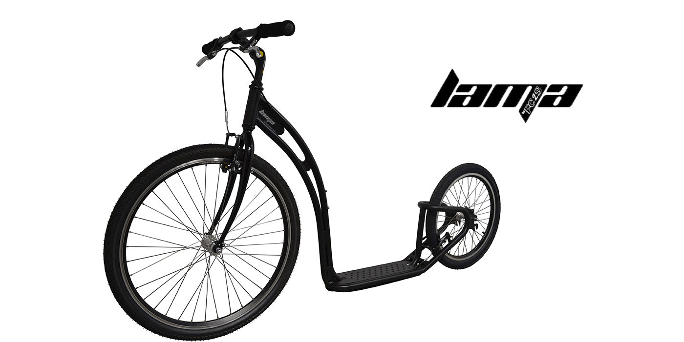FC2SMobility Expert de la de sport adulte et footbike