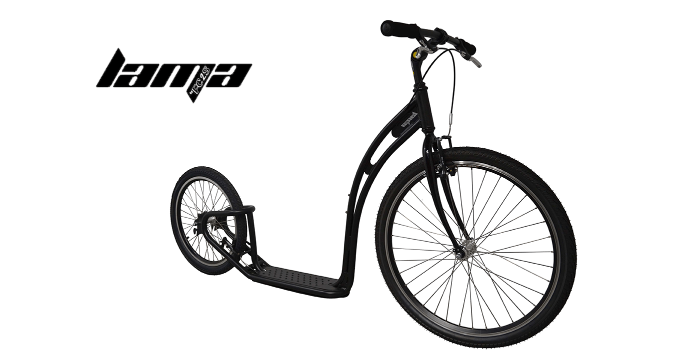 FC2SMobility Expert de la de sport adulte et footbike