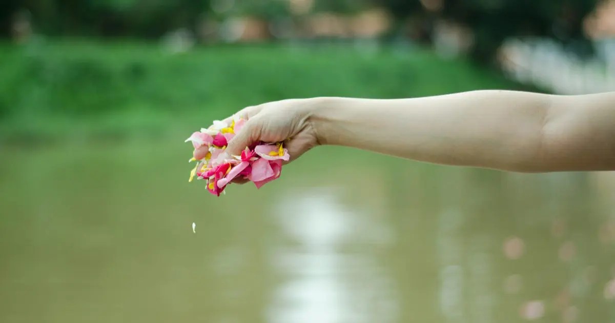 Disposition of Ashes Funeral Consumers Alliance of Inc.