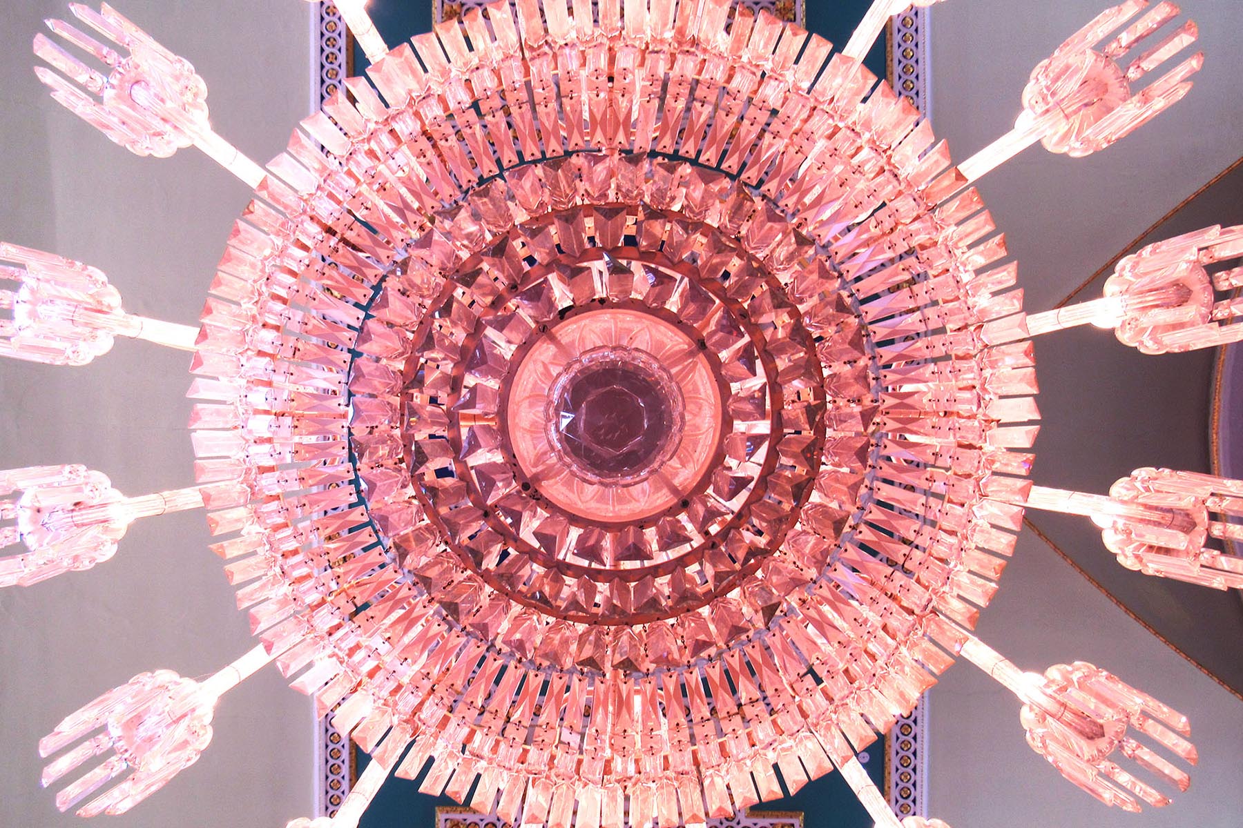 Exhibition Display's for Doncaster Mansion House FCD