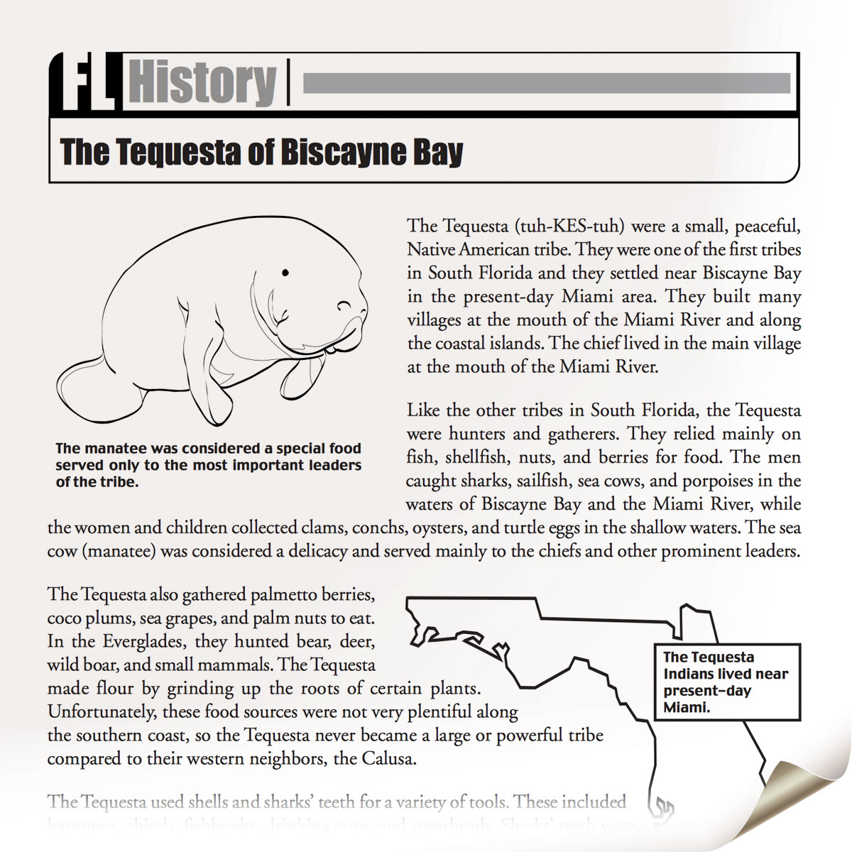 Native Americans FCIT