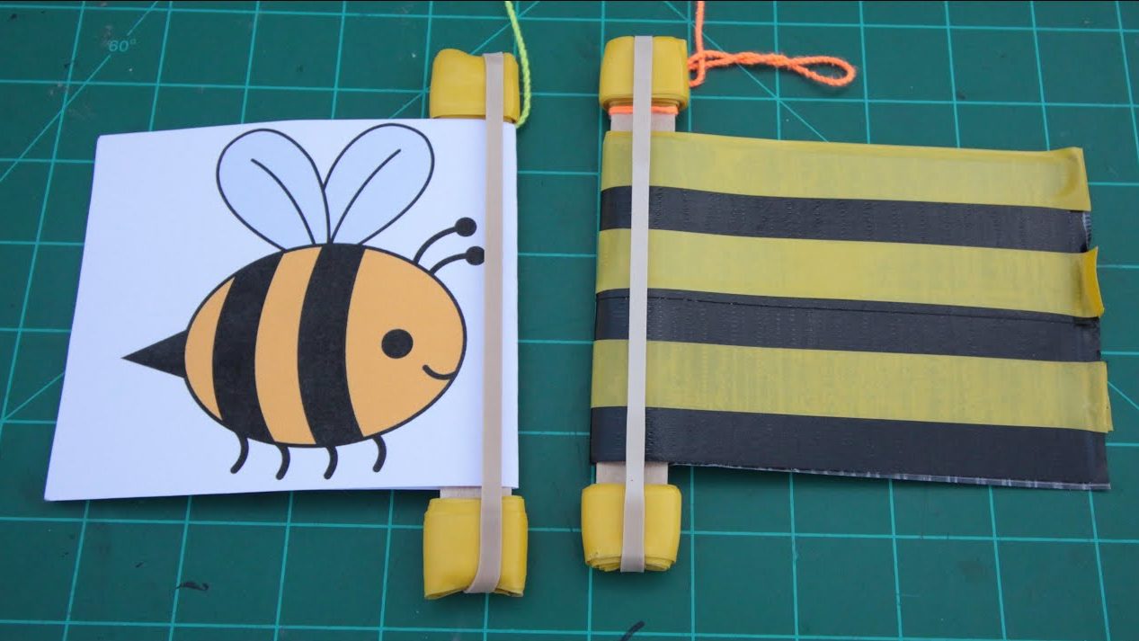 Daily Discovery Make your own Bee Buzzer! Fort Collins Museum of Discovery